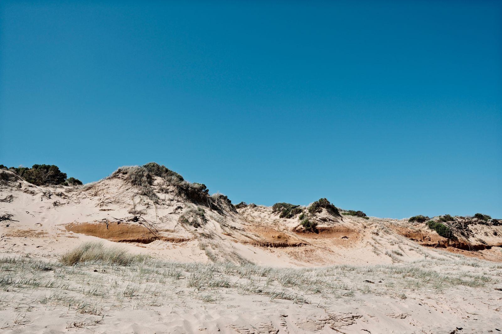 The dunes at the Pinery: ten kilometres of beach and Carolinian forest, fifty-five minutes from London