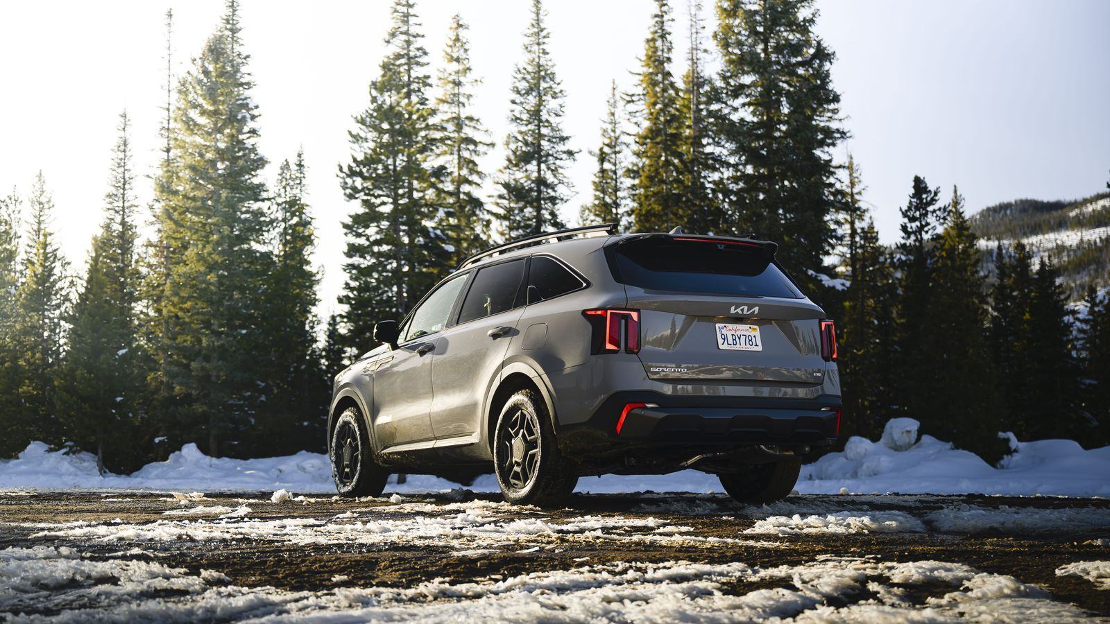 Winter Tires and the Limo That Still Shows Up: How the Fleet Runs London's Winter